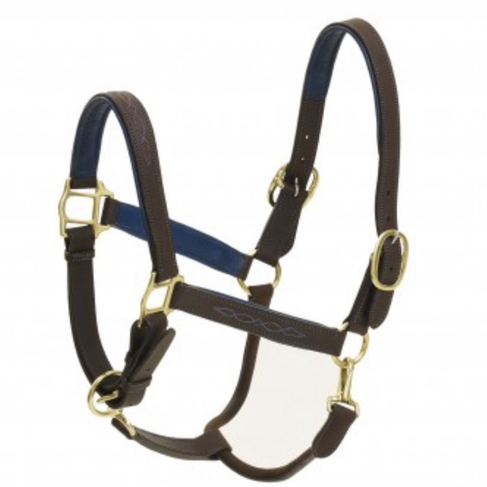 Ovation luxury leather halter HORSE size- choice of color - Picture 6 of 10